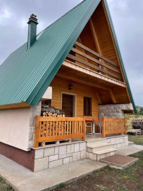 Kovačević home